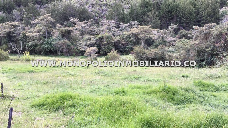 LOTE EN VENTA - SECTOR PANTANILLO, EL RETIRO COD: 21871