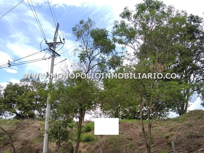 LOTE EN VENTA - SECTOR CORREGIMIENTO CORDOBA, SOPETRAN COD: 22463