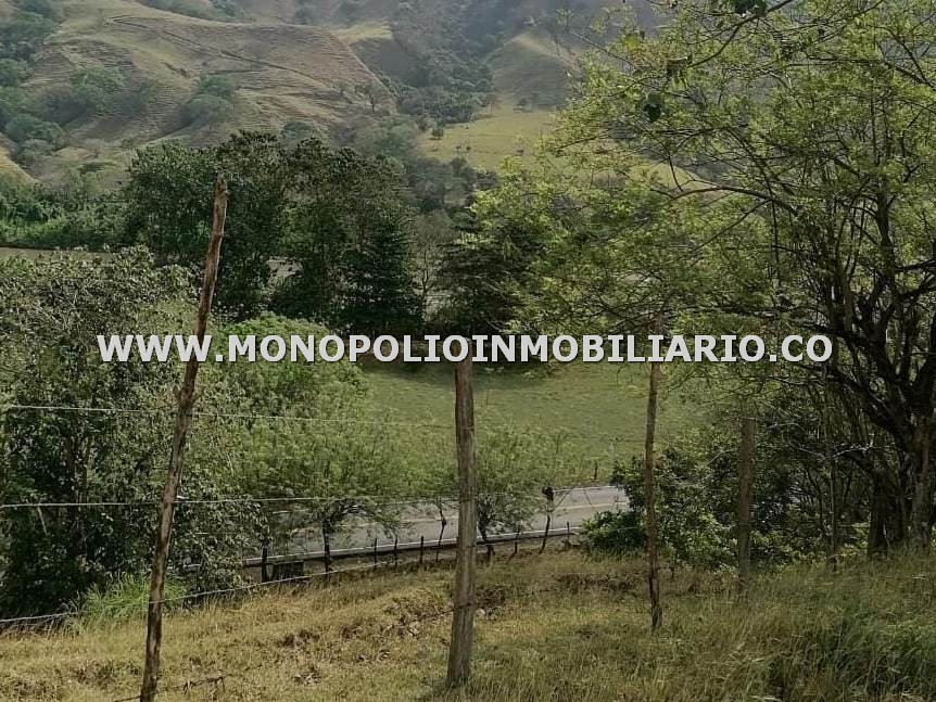 LOTE EN VENTA - SECTOR SANTA FE DE ANTIOQUIA COD: 23471