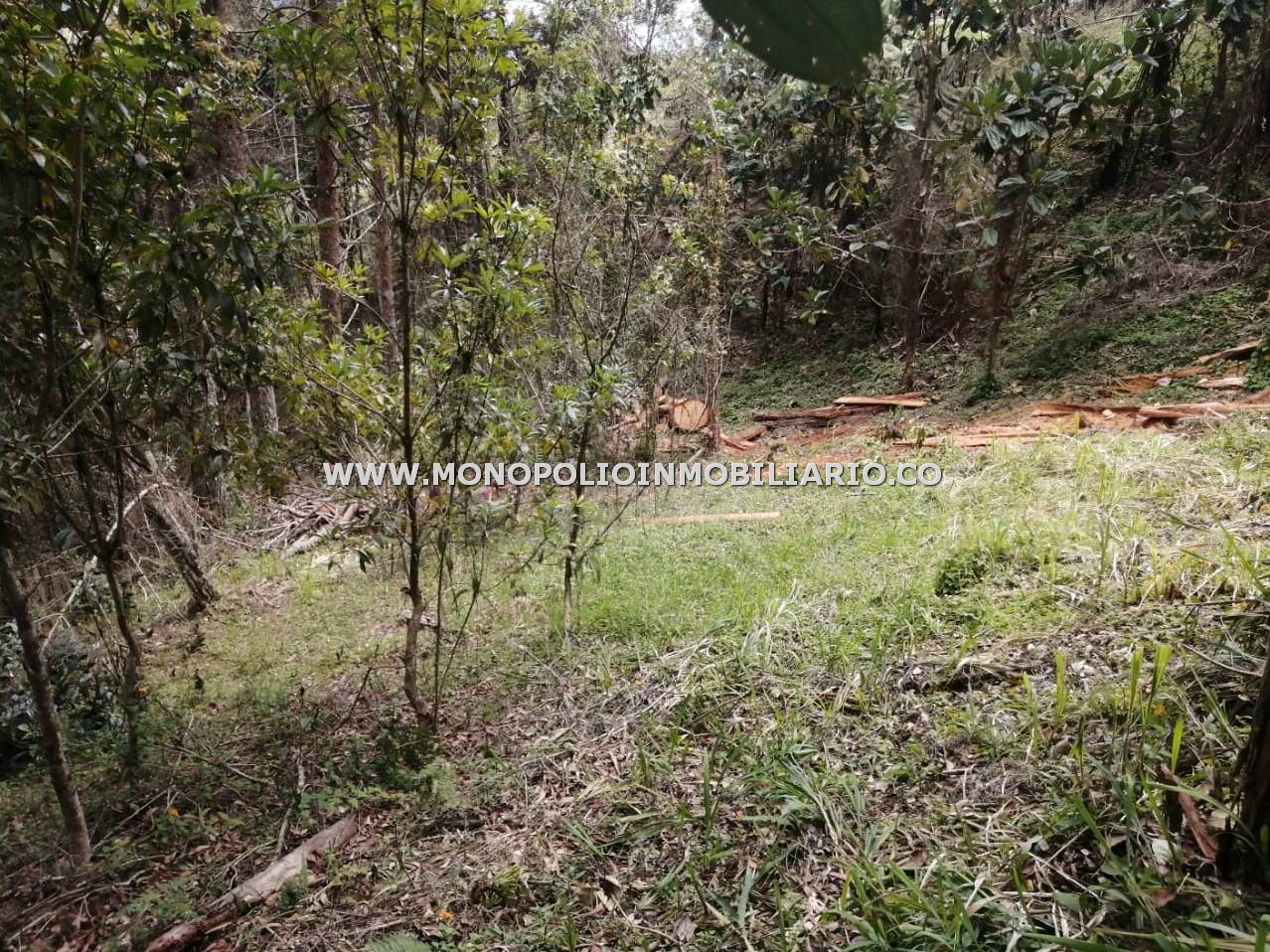 LOTE EN VENTA - SECTOR EL PLACER, SANTA ELENA COD: 23475