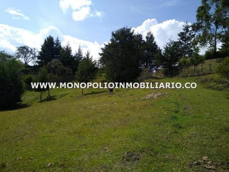 LOTE EN VENTA - SECTOR VEREDA SANTA MARIA, SANTA BARBARA COD: 24886