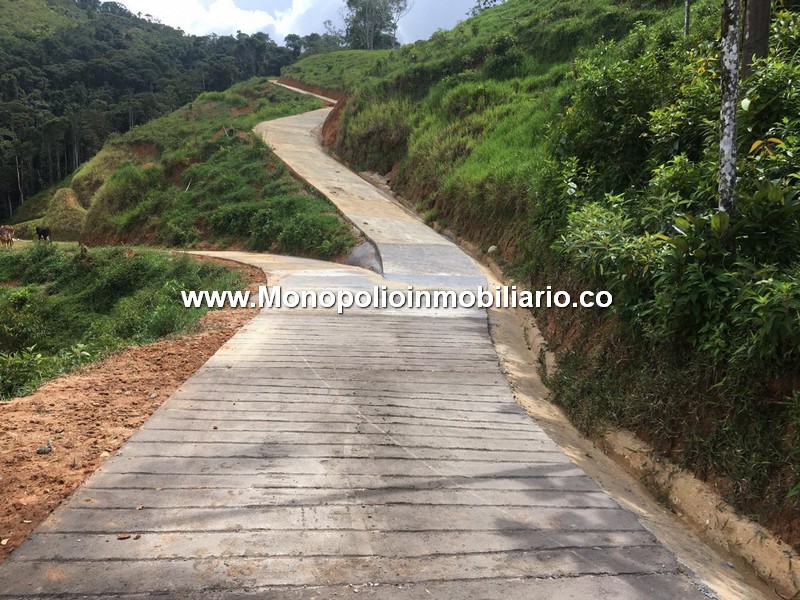 LOTE EN VENTA - SECTOR PORCE, YOLOMBO ANTIOQUIA COD: 24902