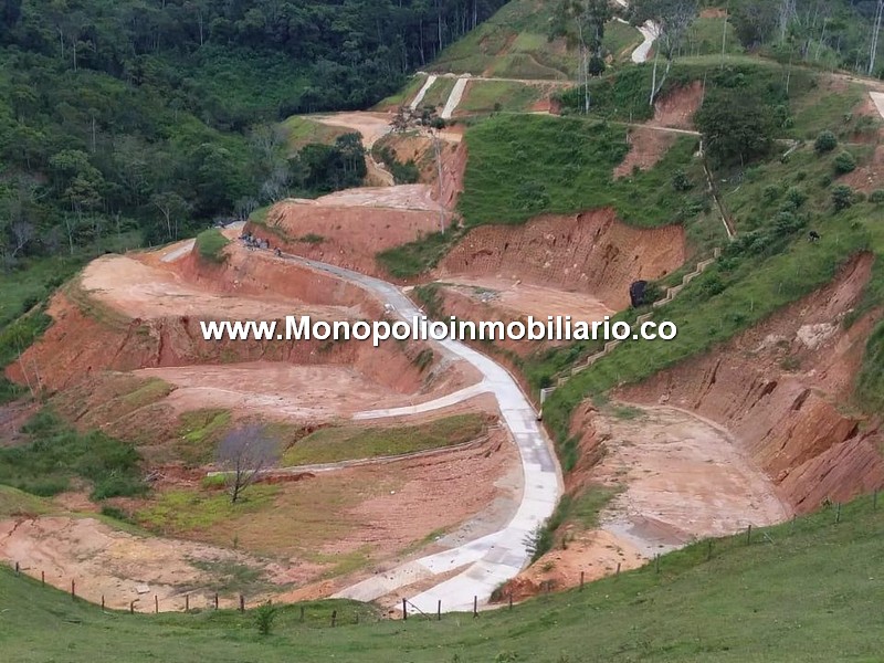 LOTE EN VENTA - SECTOR PORCE, YOLOMBO ANTIOQUIA COD: 24904