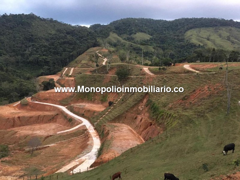 LOTE EN VENTA - SECTOR VEREDA PORCE, YOLOMBO ANTIOQUIA COD: 24919