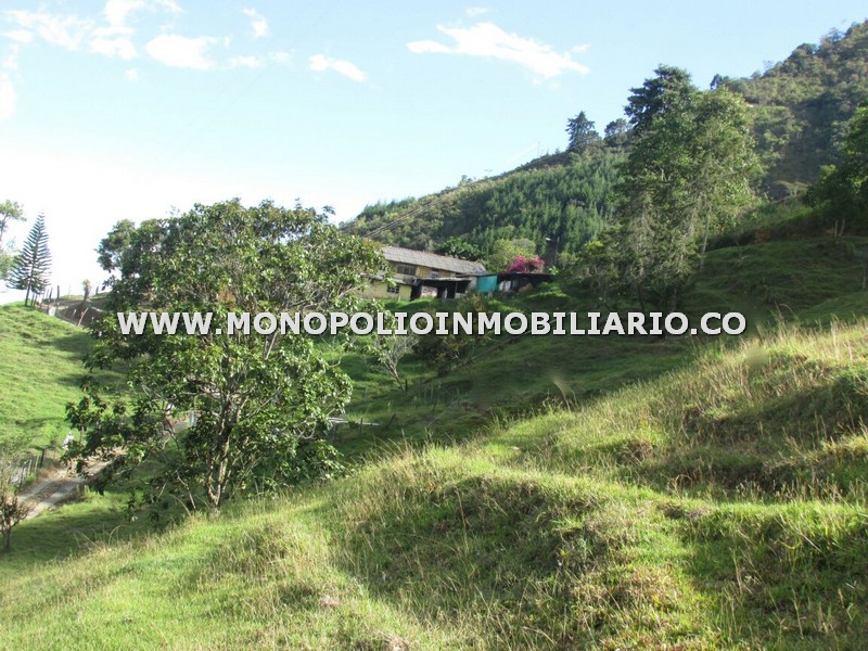 CASA FINCA EN VENTA - SECTOR VERSALLES, SANTA BARBARA COD: 24984