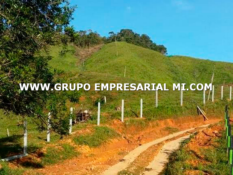 LOTE EN VENTA - SECTOR LA QUIEBRA, AMALFI COD: 22939