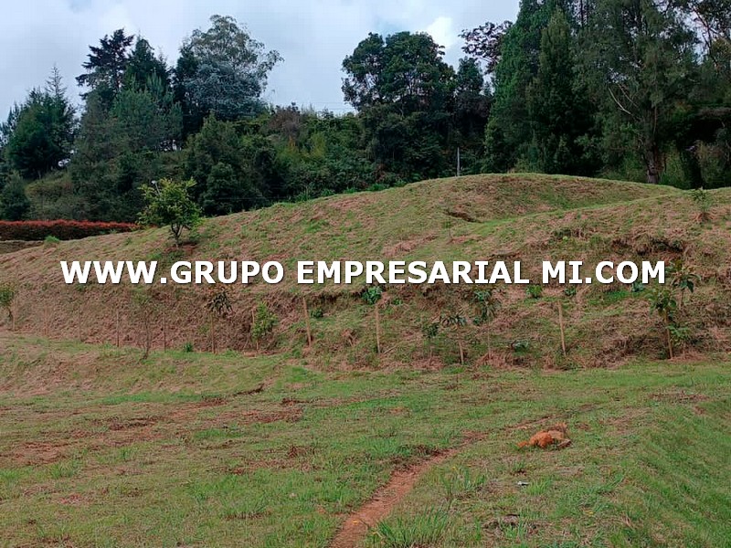 LOTE EN VENTA - SECTOR LAS PALMAS, RIONEGRO COD: 27287