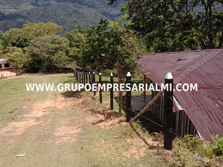 GRANDIOSO LOTE EN VENTA - SECTOR VEREDA LA LINDA COD: 29086