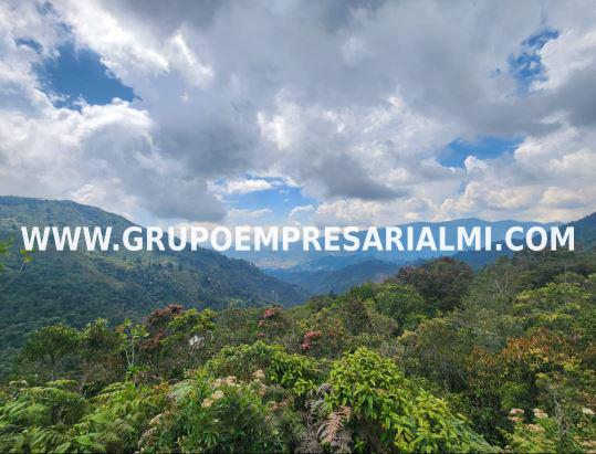 ESPECTACULAR LOTE EN VENTA - SECTOR LA MIEL COD: 29559