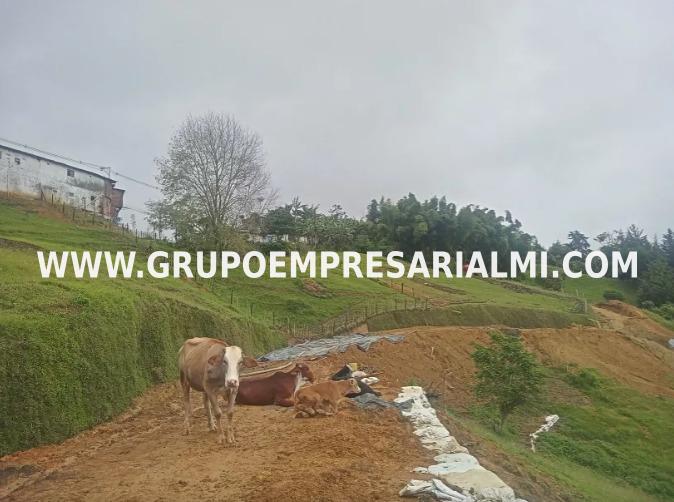 FABULOSO LOTE EN VENTA - SECTOR SANTA BÁRBARA COD: 29586