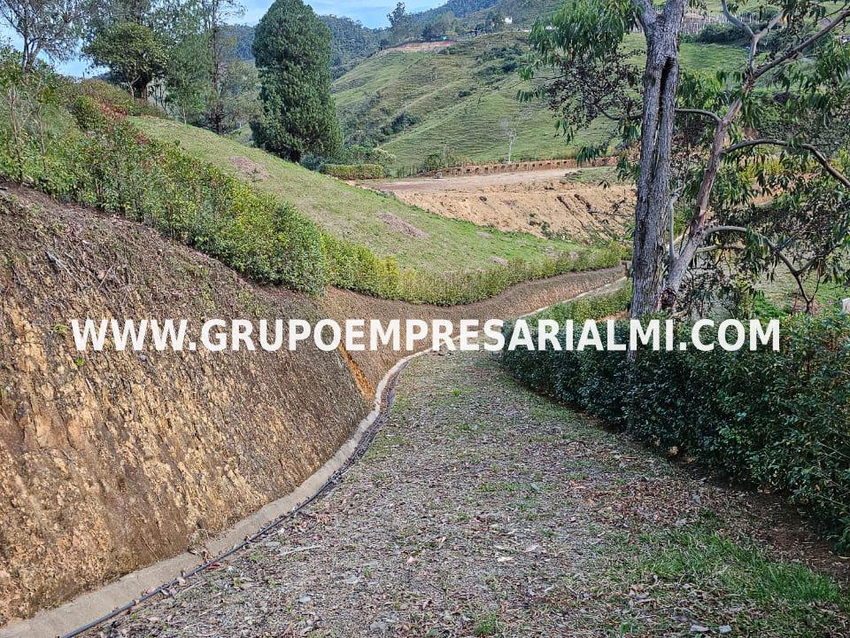 ESPECTACULAR LOTE EN VENTA - SECTOR CONCEPCIÓN ANTIOQUIA COD: 29777