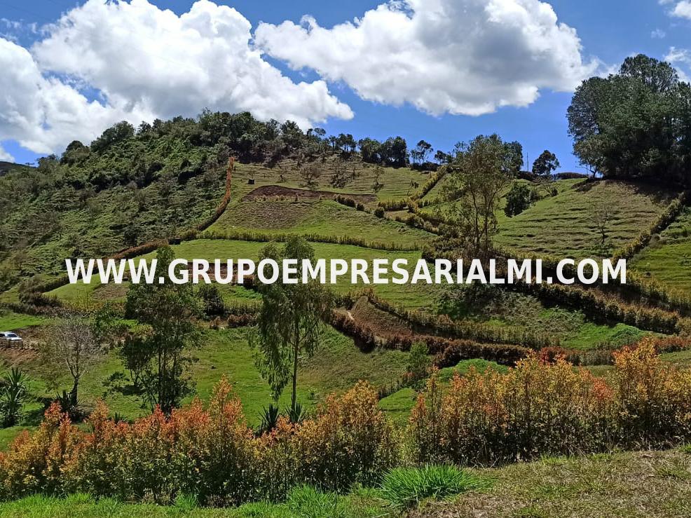 ESPECTACULAR LOTE EN VENTA - SECTOR CONCEPCIÓN ANTIOQUIA  COD: 29778