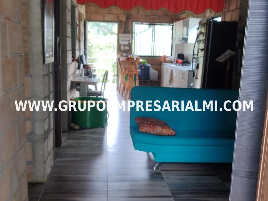 ESPECTACULAR CASA FINCA EN VENTA - SECTOR AMAGÁ COD: 29839 ESPECTACULAR CASA FINCA EN VENTA - SECTOR AMAGÁ COD: 29839