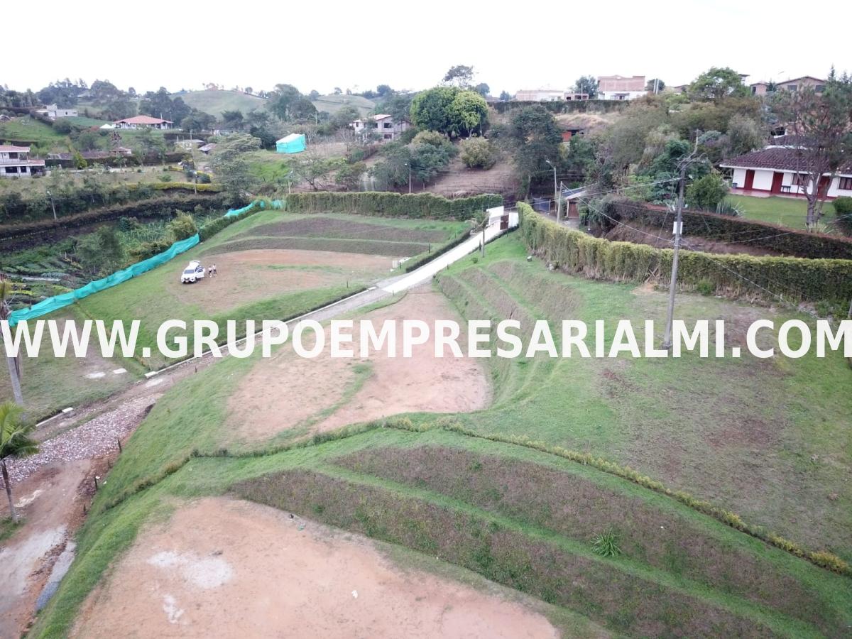HERMOSO LOTE EN VENTA - SECTOR CARMEN DE VIBORAL COD: 30050