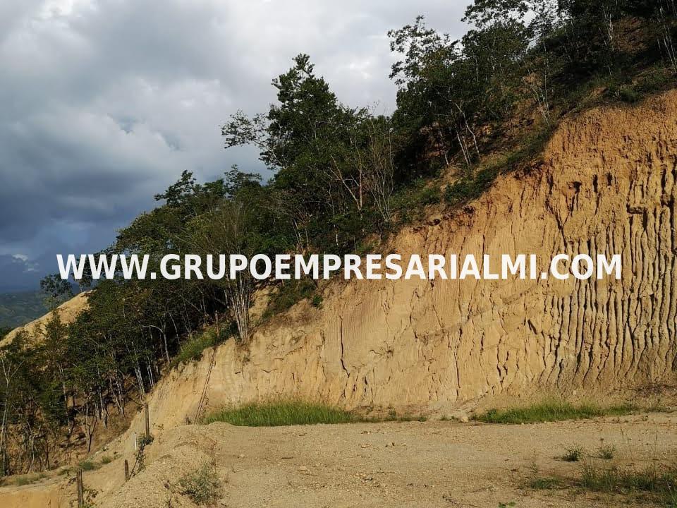 ESPECTACULAR LOTE EN VENTA - SOPETRAN ANTIOQUIA COD: 30096