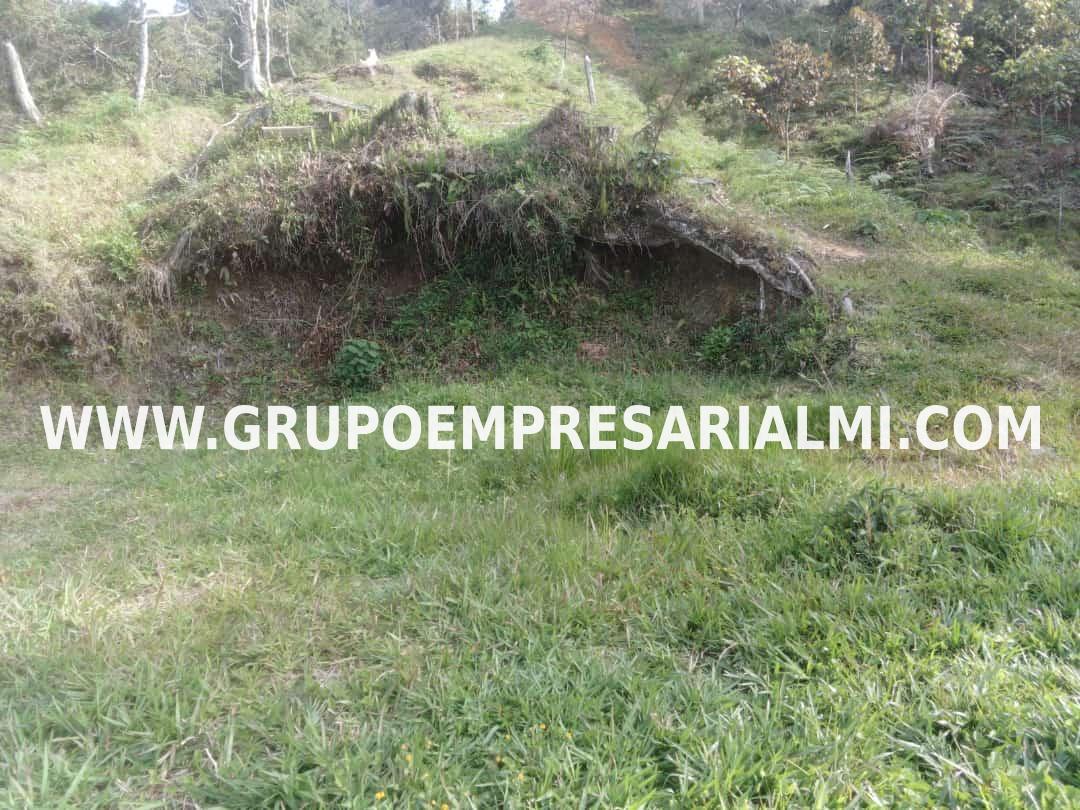 MARAVILLOSO LOTE EN VENTA - SECTOR GUATAPÉ COD: 30282