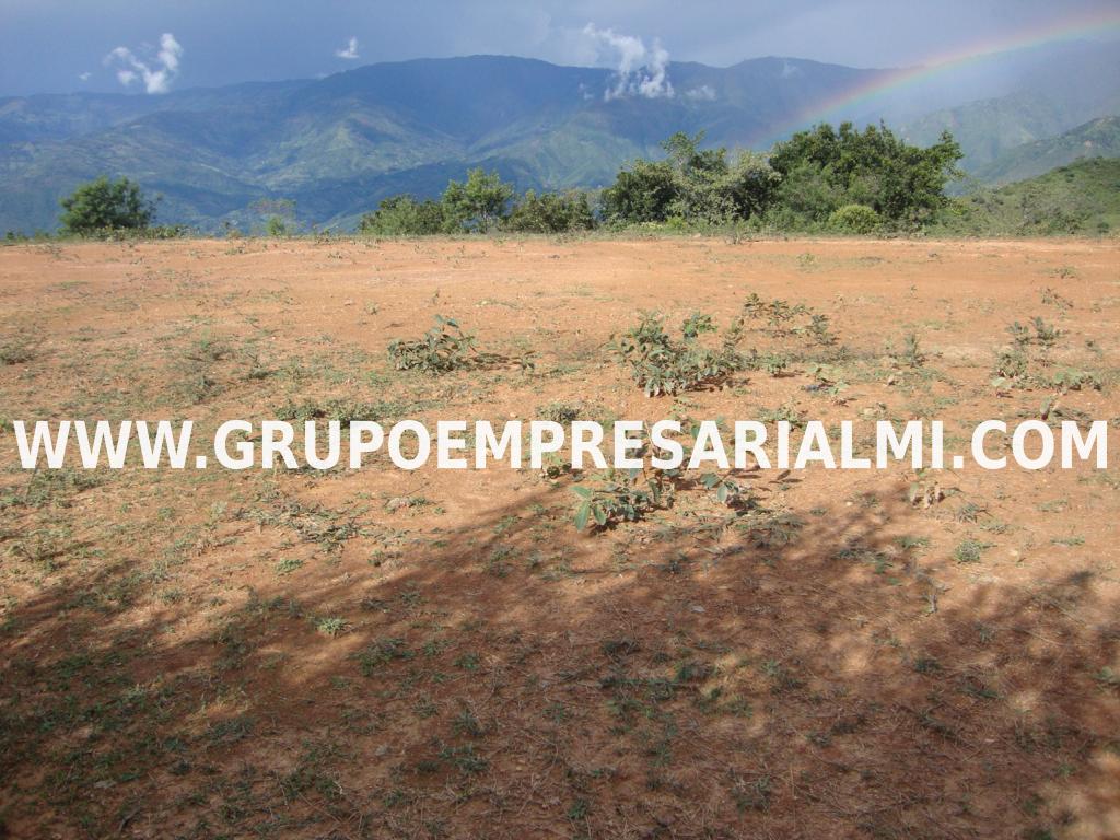 ATRACTIVO LOTE EN VENTA - SECTOR LOMA HERMOSA COD: 30398
