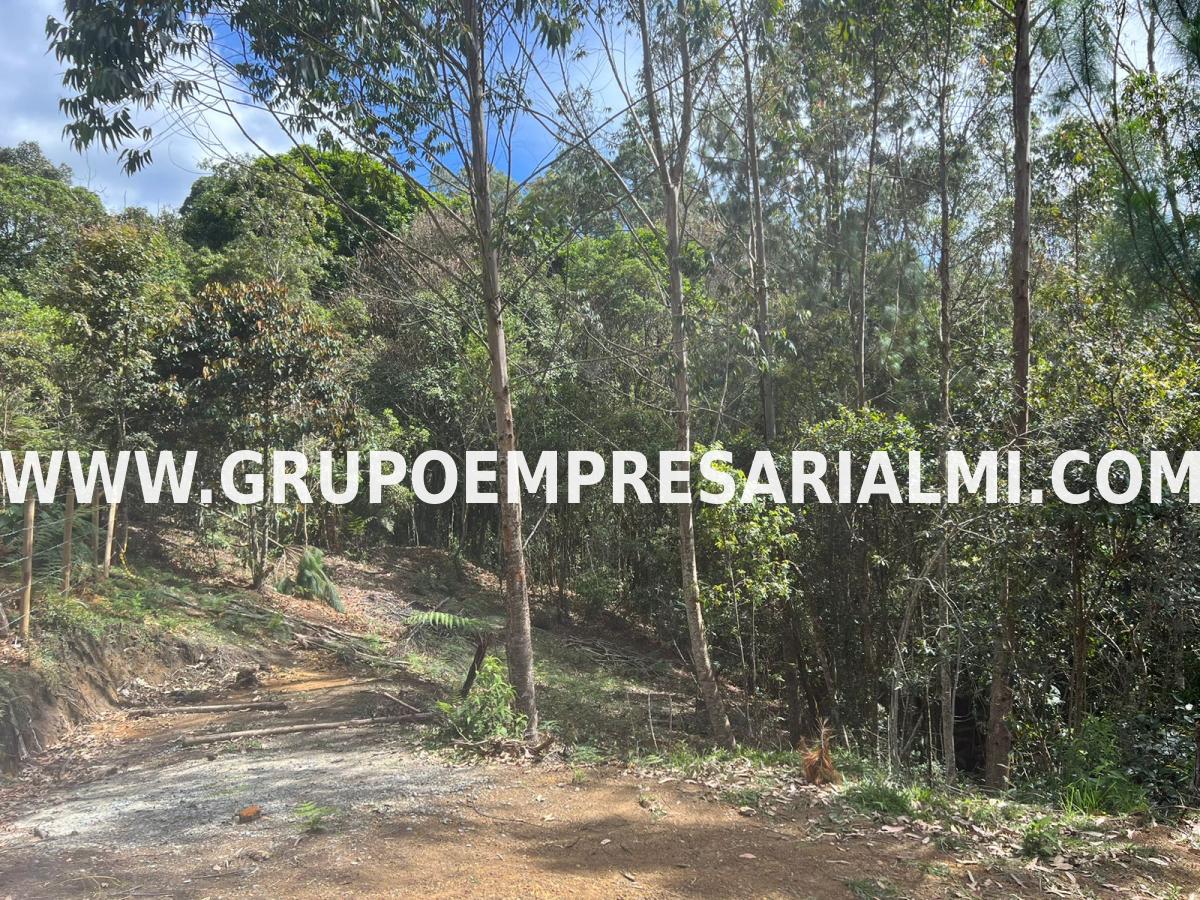 EXCELENTE LOTE EN VENTA - SECTOR SANTA ELENA COD: 30429