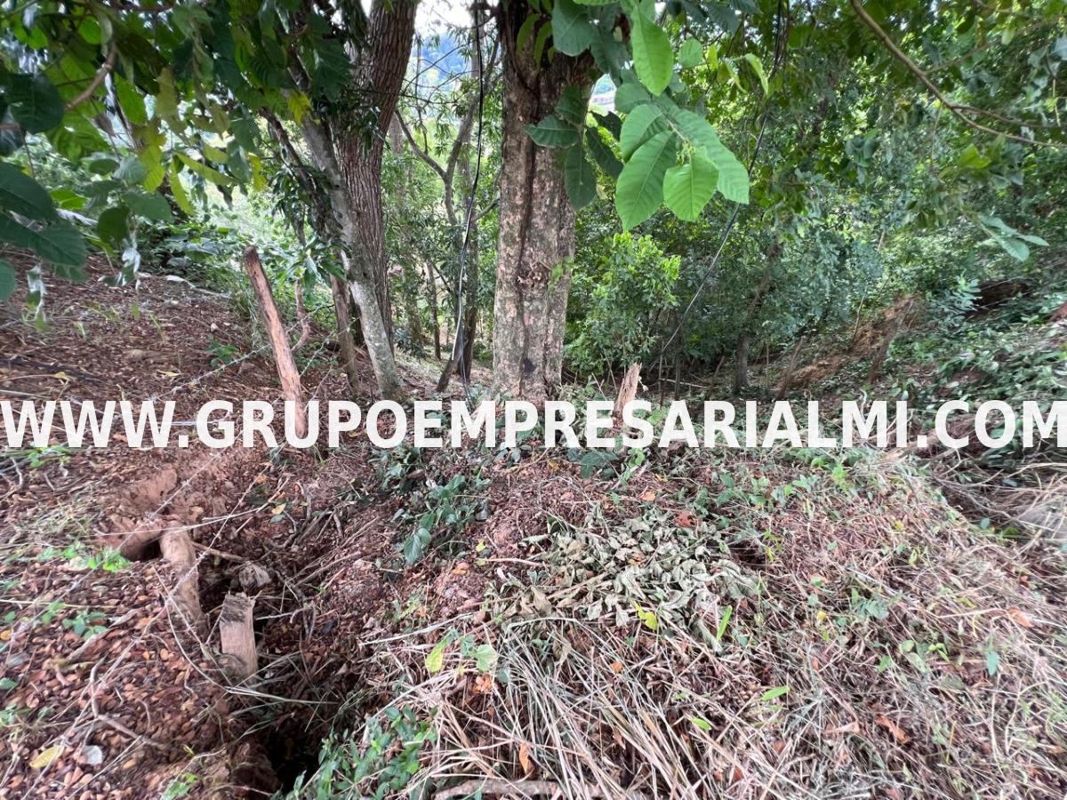 ESPECTACULAR LOTE EN VENTA - SECTOR SOPETRAN COD: 30503