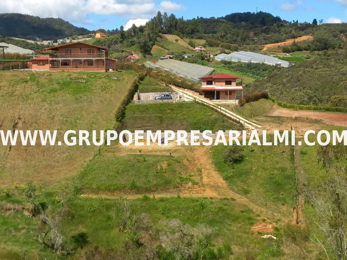 FANTÁSTICO LOTE EN VENTA - VEREDA LAS CRUCES  COD: 31853