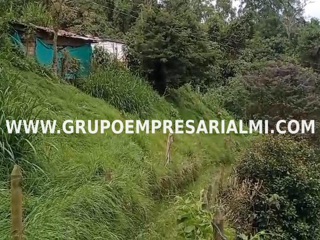 GRANDIOSO LOTE EN VENTA - SAN FÉLIX COD: 32294 GRANDIOSO LOTE EN VENTA - SAN FÉLIX COD: 32294