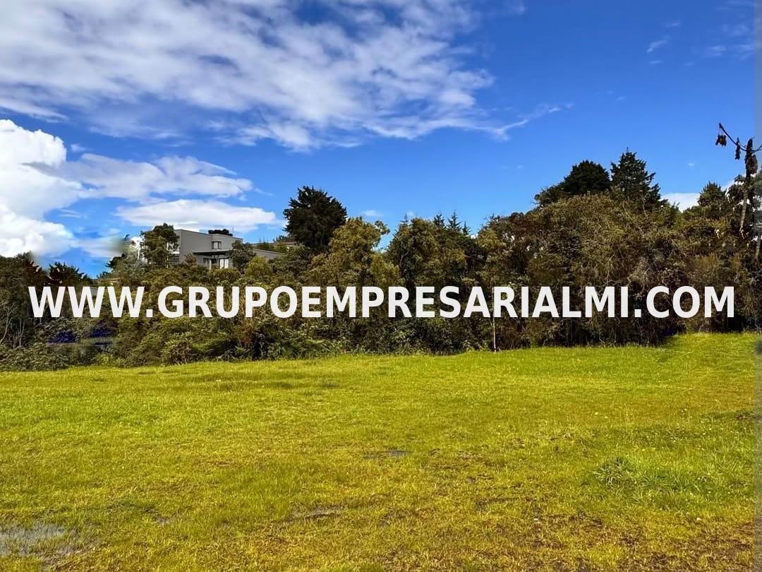 AMPLIO LOTE EN VENTA - SECTOR ALTO DE PALMAS  COD: 32534