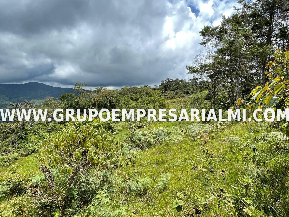 FABULOSO LOTE EN VENTA - SECTOR ALEJANDRIA - ANTIOQUIA  COD: 32625