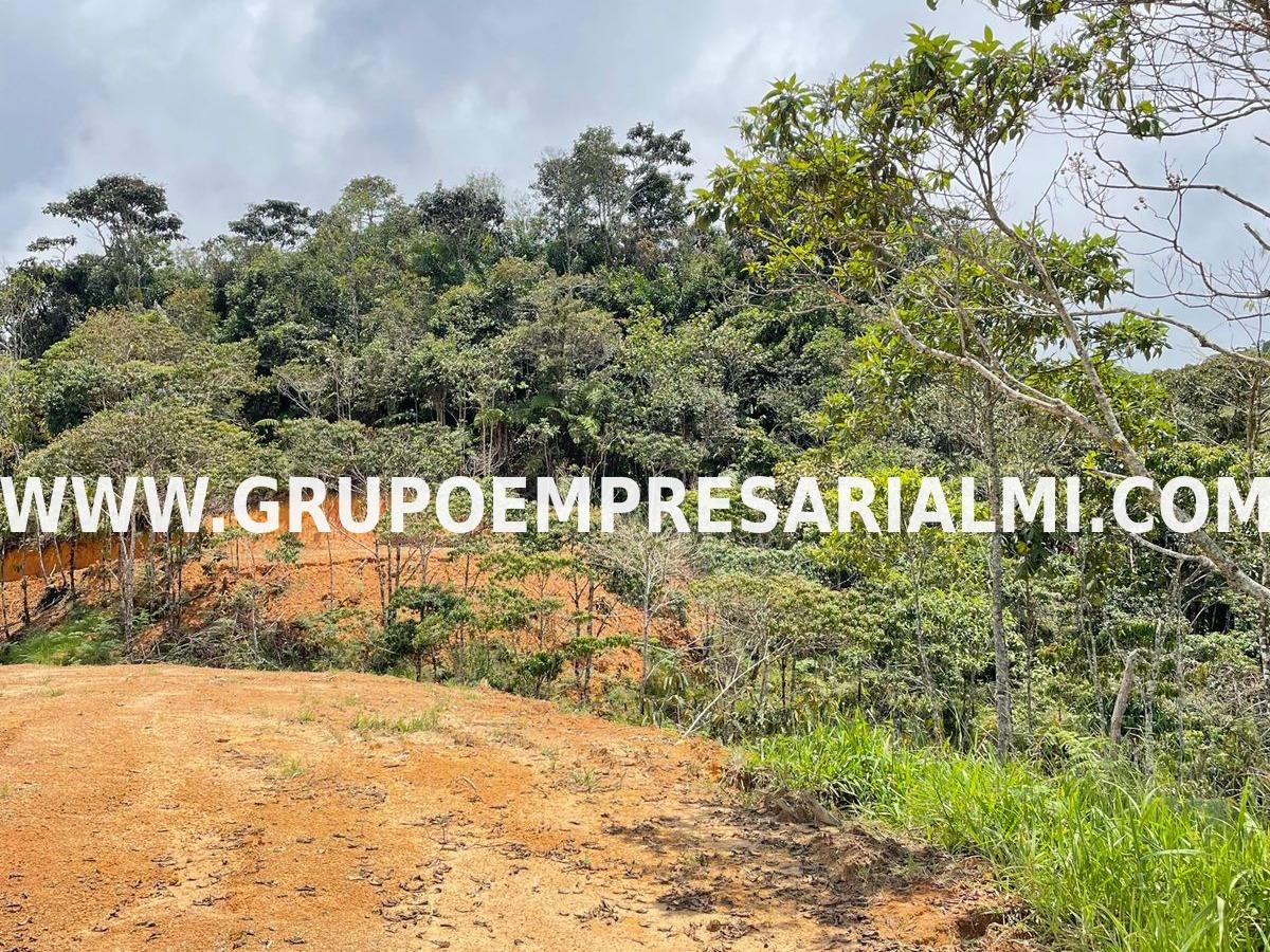 ESPECTACULAR LOTE EN VENTA - SECTOR ALEJANDRIA - GUATAPE COD: 32628