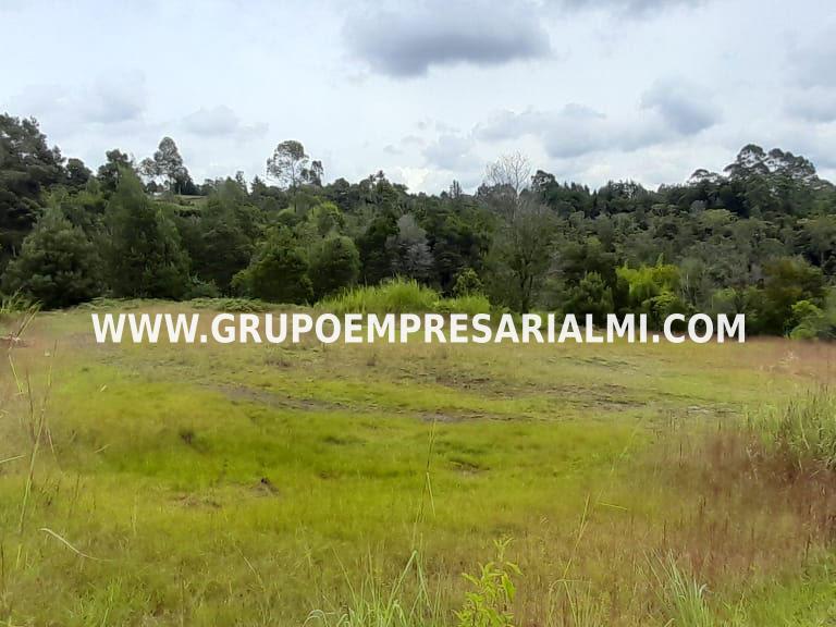 AMPLIO LOTE EN VENTA - SECTOR SAN VICENTE  COD: 33058