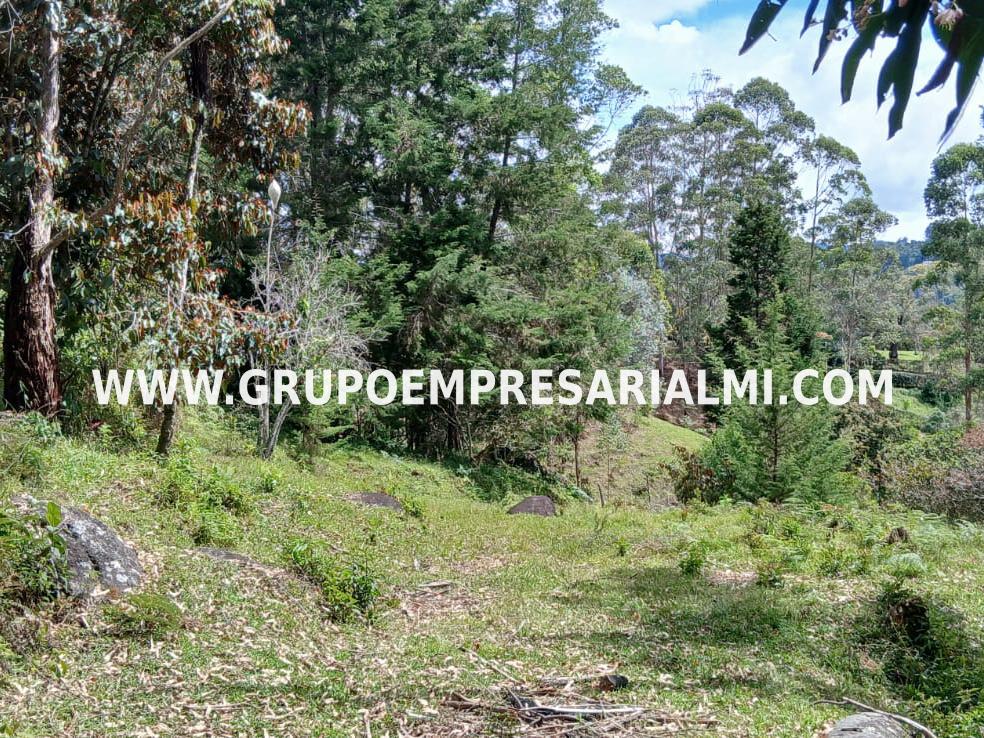 LOTE EN VENTA - SECTOR SALTO ARRIBA MARINILLA COD: 26040