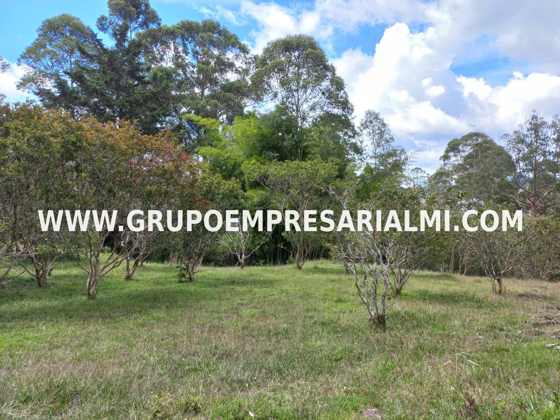 LOTE EN VENTA - SECTOR SALTO ARRIBA MARINILLA COD: 26040