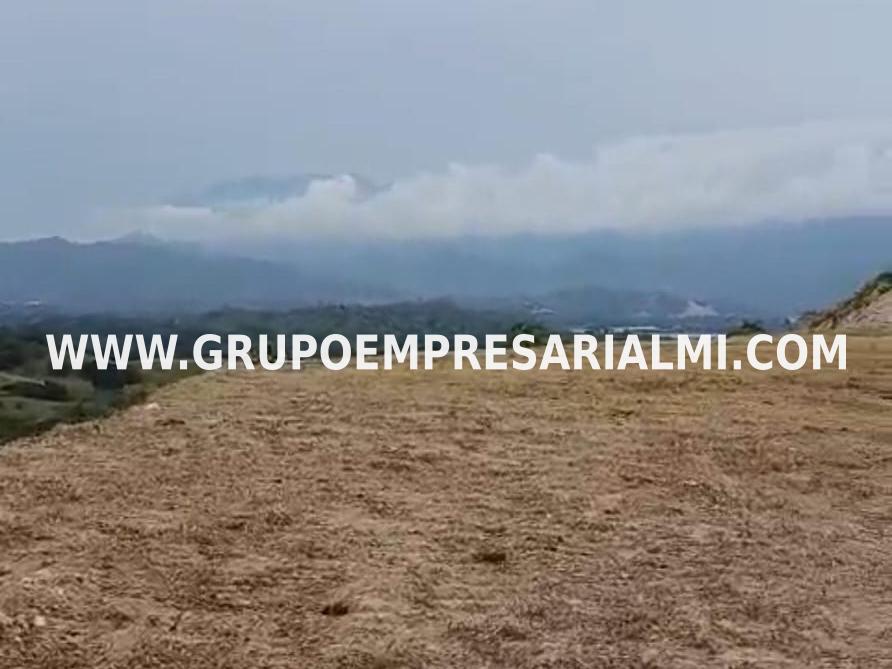 HERMOSO LOTE EN VENTA - SECTOR EL CIRUELAR COD: 33592