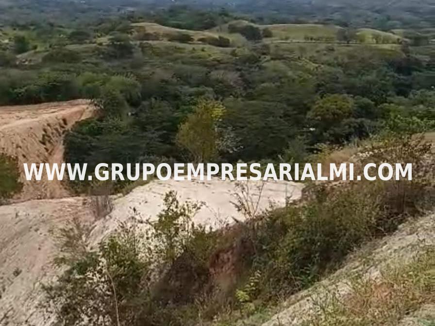 LINDO LOTE EN VENTA - SECTOR EL CIRUELAR  COD: 33598