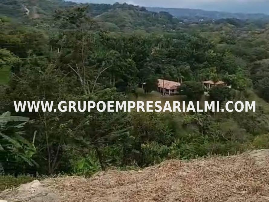 AGRADABLE LOTE EN VENTA - SECTOR EL CIRUELAR COD: 33600