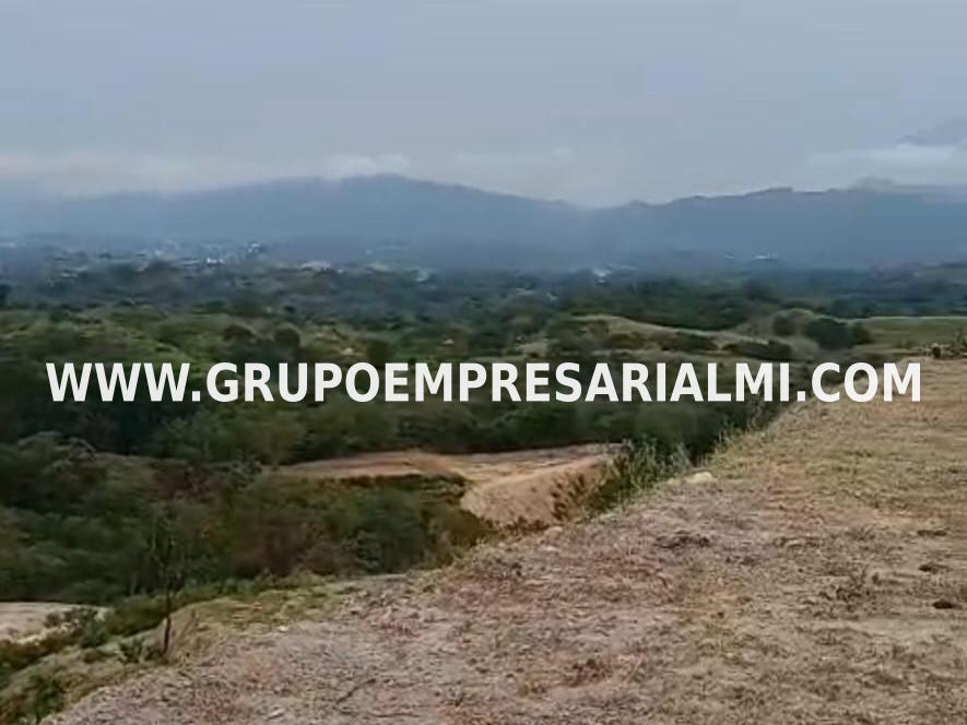 ESPECTACULAR LOTE EN VENTA - SECTOR EL CIRUELAR COD: 33601