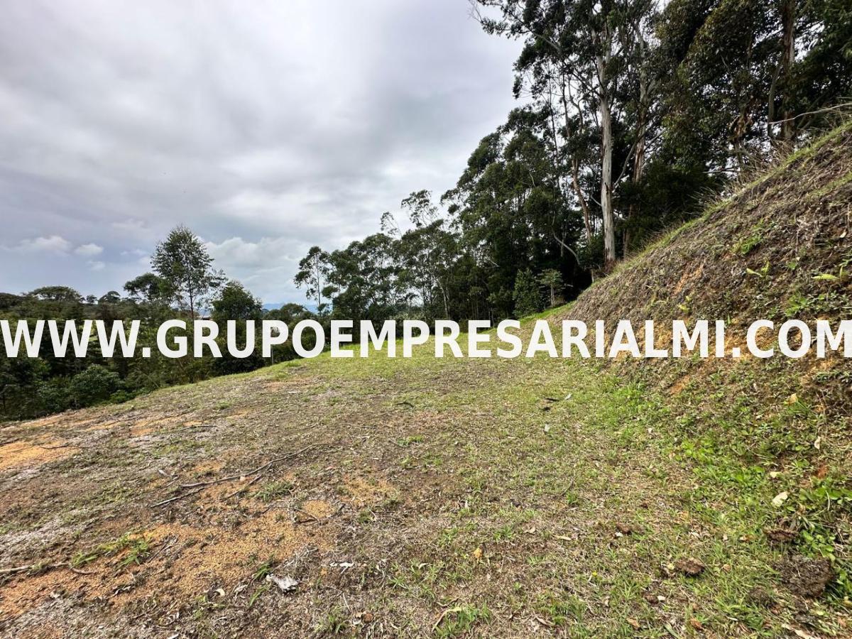 ESPECTACULAR LOTE EN VENTA EN EL SECTOR LLANO GRANDE COD: 33993